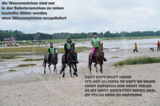 s_K3F04917.JPG